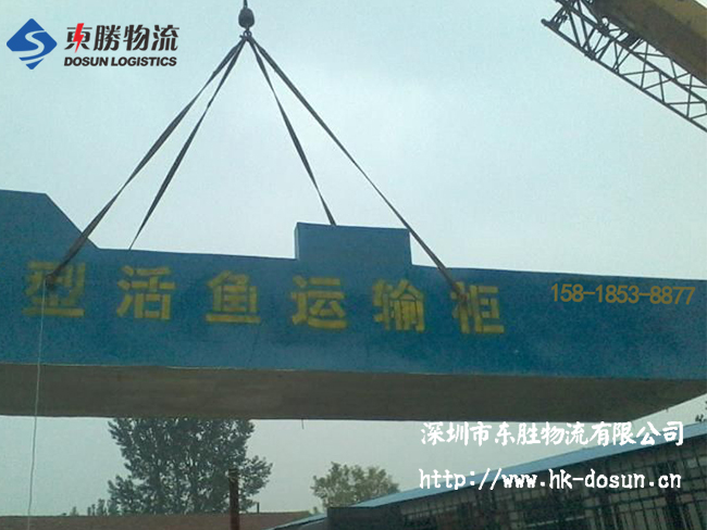 物流活體魚要注意哪些事項？該怎么運輸？深圳到香港物流,香港深圳貨運運輸,深圳香港進出口,深港物流專線,中港物流,東勝物流集團-大件物流到香港